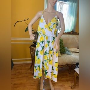 BEAUTIFUL WOMEN MAXI DRESS Size Medium
Like New (Dream of Me Brand).